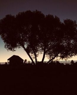 Максим Рождественский