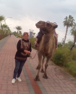 Елена — фото 5