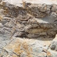 Анатолий — фото 2